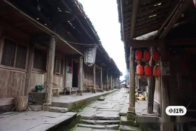 树牢抓落实鲜明导向 加快建设农业强市